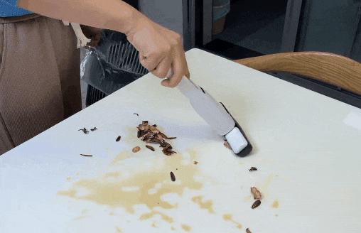 1758008386256443.gif